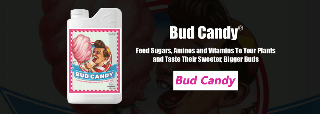 How to use the Advanced Nutrients Bud Candy – HydroWorlds