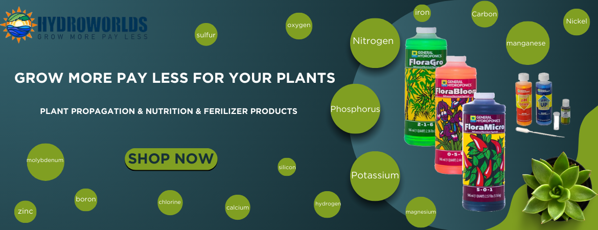 How to understand the relationship between elements and plants