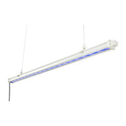 Gavita UVR LED 120-240V