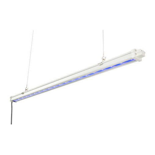 Gavita UVR LED 120-240V