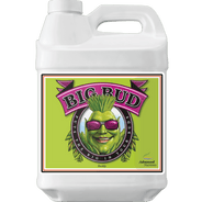 Advanced Nutrients Big Bud - HydroWorlds