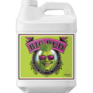 Advanced Nutrients Big Bud-500mL - HydroWorlds