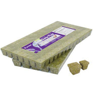 Grodan Stonewool A-OK Starter Plugs