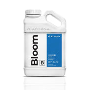 Athena Bloom B - HydroWorlds