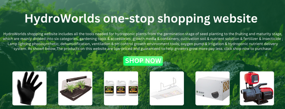 How to Grow Hydroponic Plants & HydroWorlds one-stop shopping website