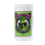 Advanced Nutrients Big Bud Powder