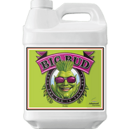 Advanced Nutrients Big Bud-250mL - HydroWorlds