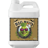 Advanced Nutrients Big Bud Coco - HydroWorlds