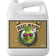 Advanced Nutrients Big Bud Coco-4L - HydroWorlds