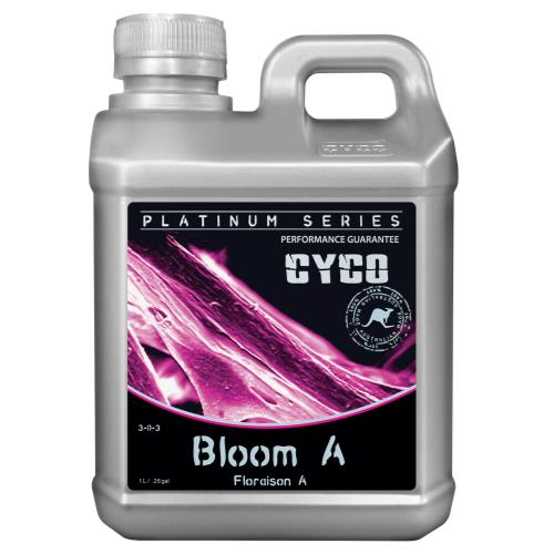 CYCO Bloom A 3 - 0 - 3 & B 1 - 5 - 6